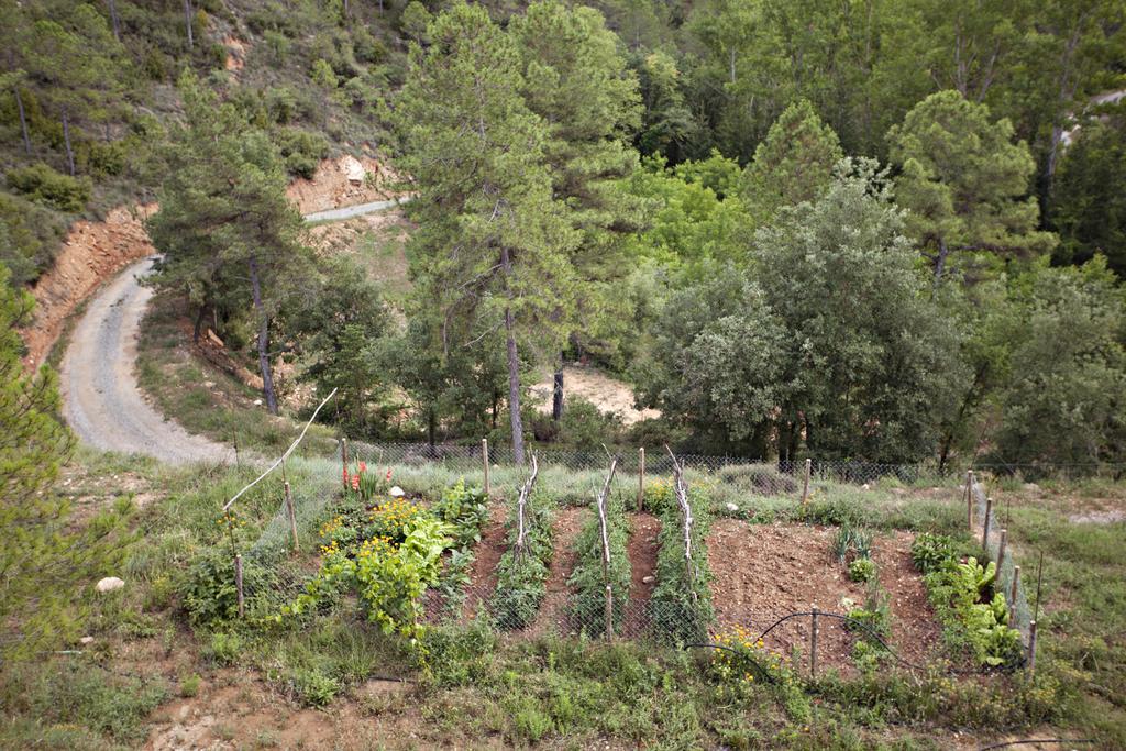 Hotel Masia Ca L'Anima La Baronia de Rialb Zimmer foto